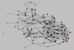 contact networks in Kloosterveen, july
2002
